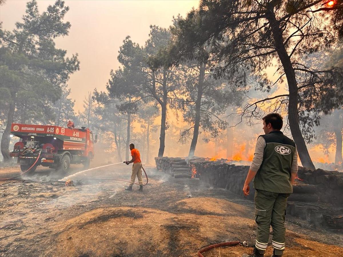 Kontrol altına alınan Çanakkale yangınından kareler