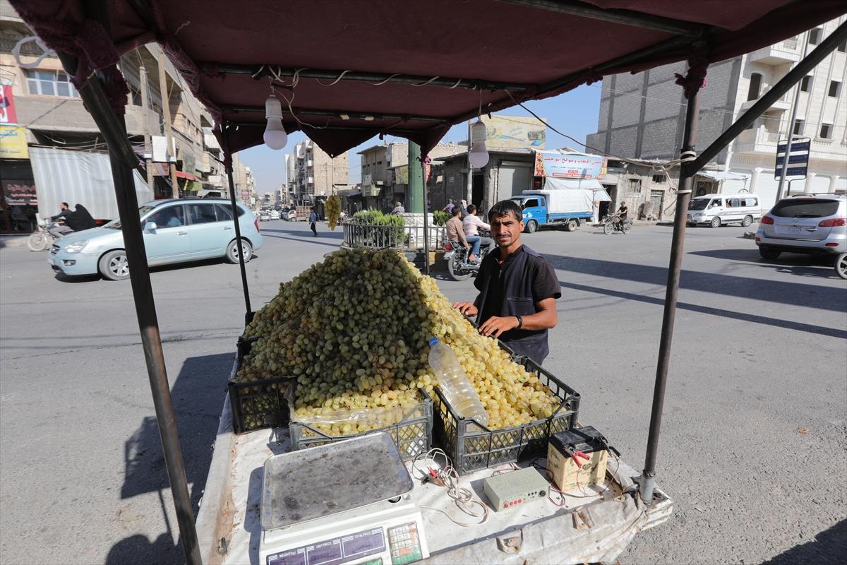 Fırat Kalkanı Harekatı'nın 7'nci yılı