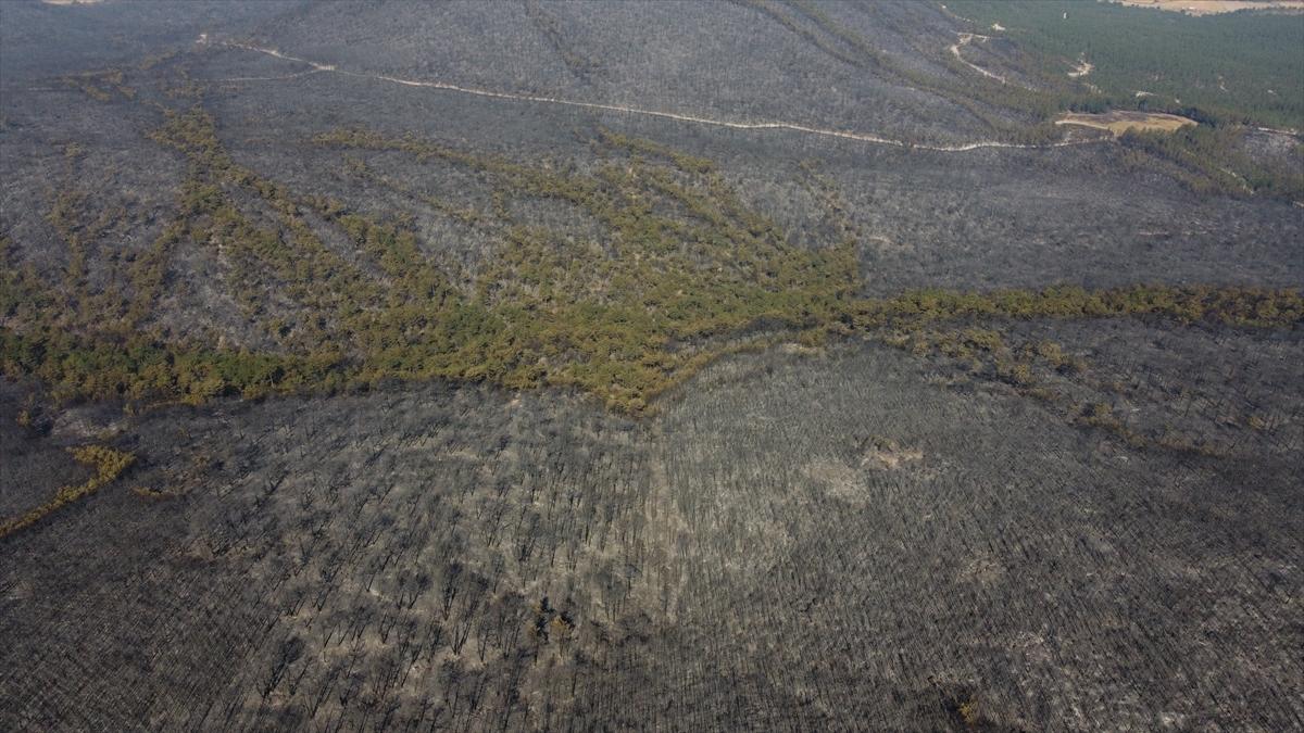 Eskişehir'de orman yangınından geriye kalanlar
