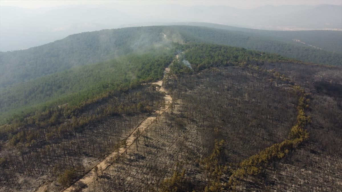 Eskişehir'de orman yangınından geriye kalanlar