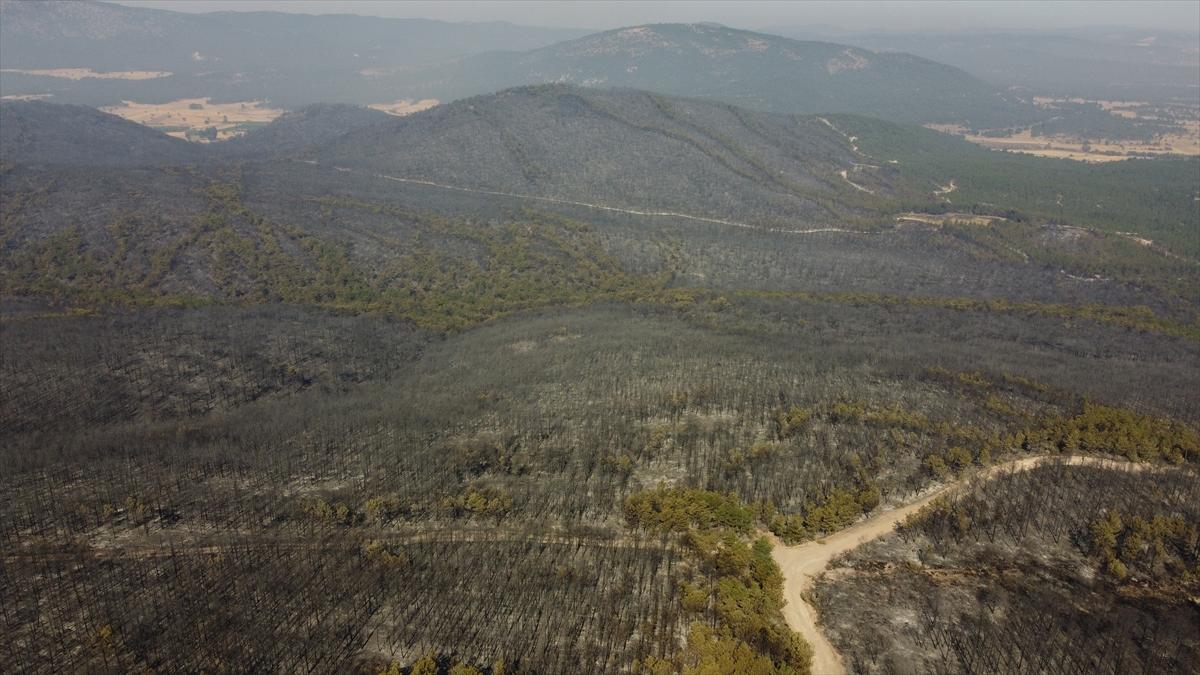 Eskişehir'de orman yangınından geriye kalanlar