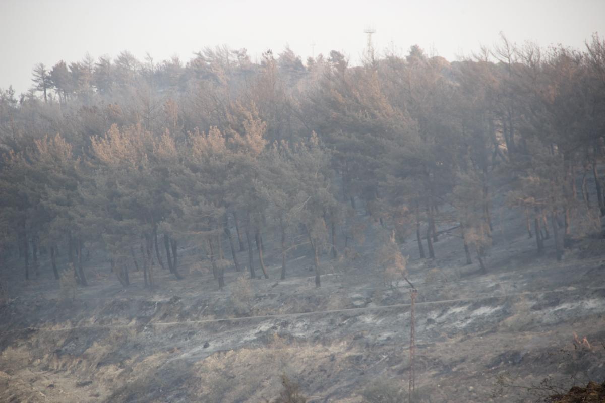 Çanakkale'de yangının ardından köyler küle döndü