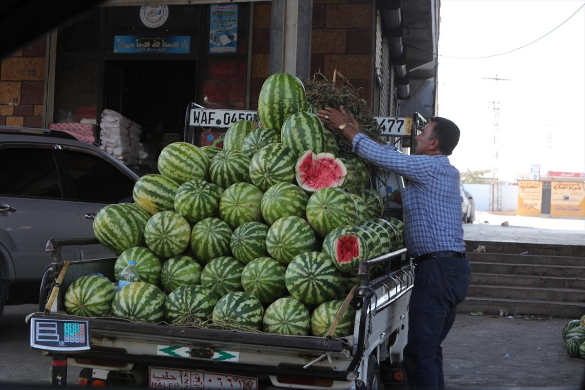 Fırat Kalkanı Harekatı'nın 7'nci yılı