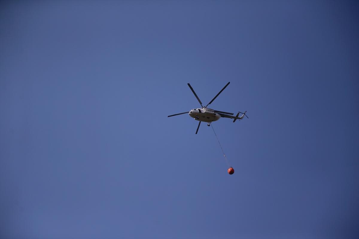 Eskişehir'de orman yangınından geriye kalanlar