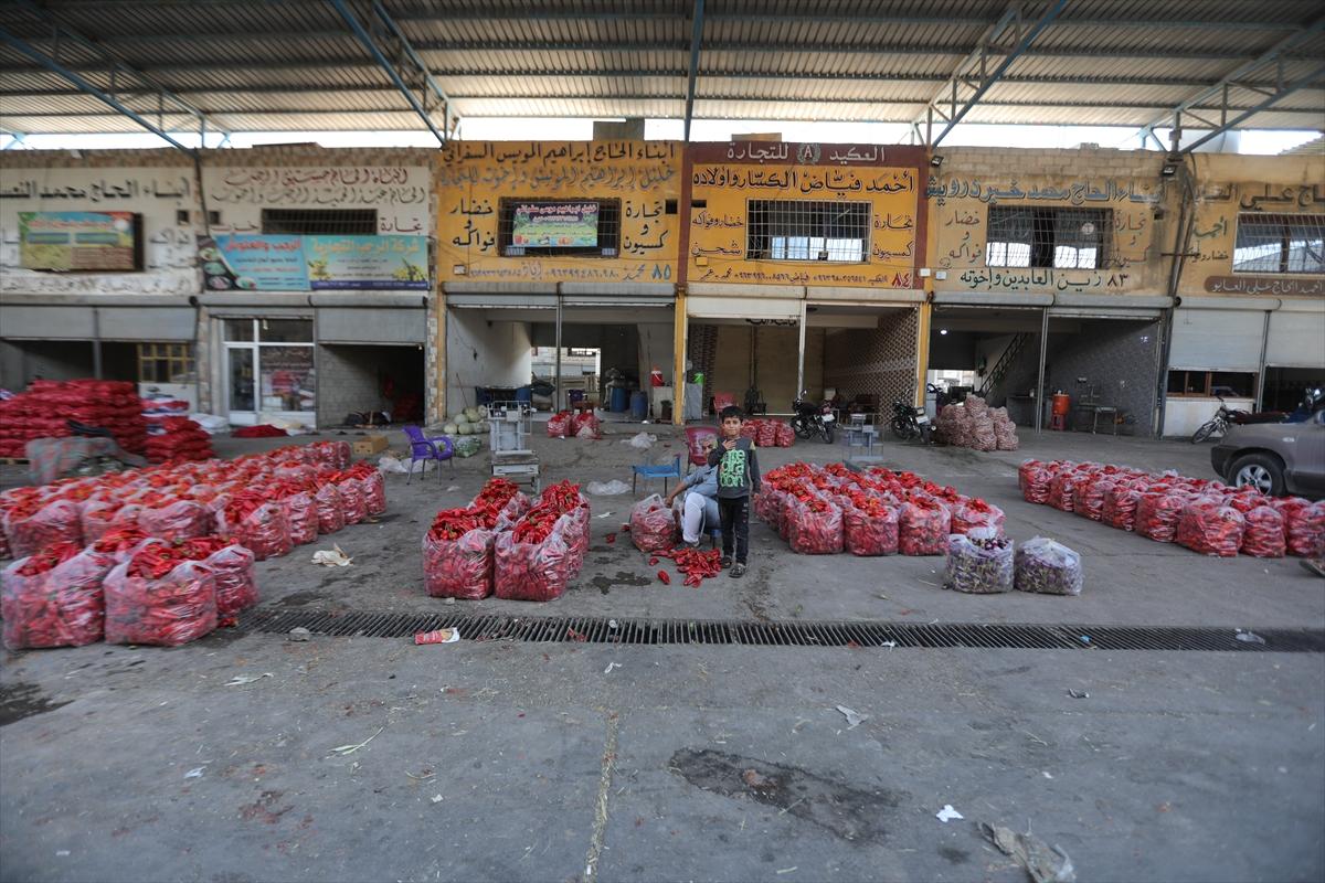 Fırat Kalkanı Harekatı'nın 7'nci yılı