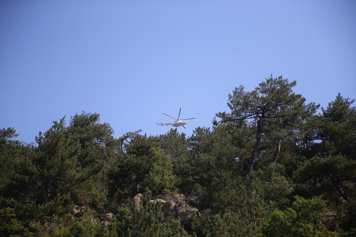 Eskişehir'de orman yangınından geriye kalanlar