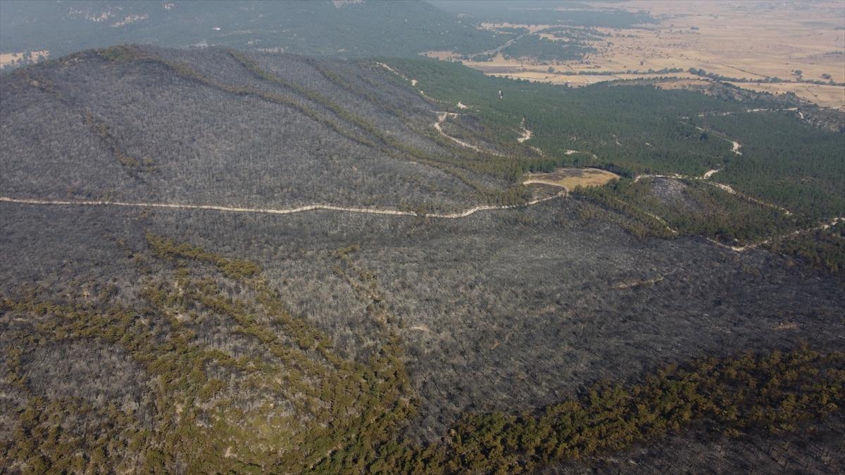 Eskişehir'de orman yangınından geriye kalanlar