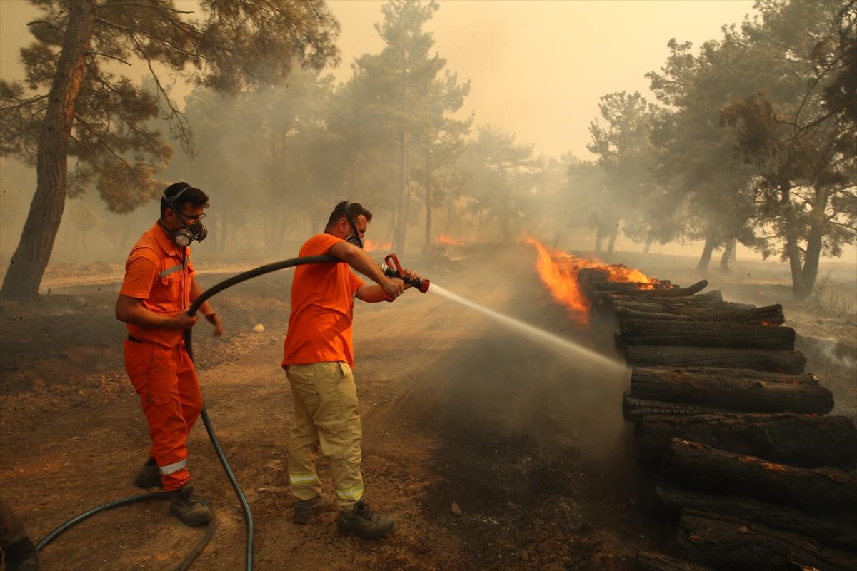 Kontrol altına alınan Çanakkale yangınından kareler