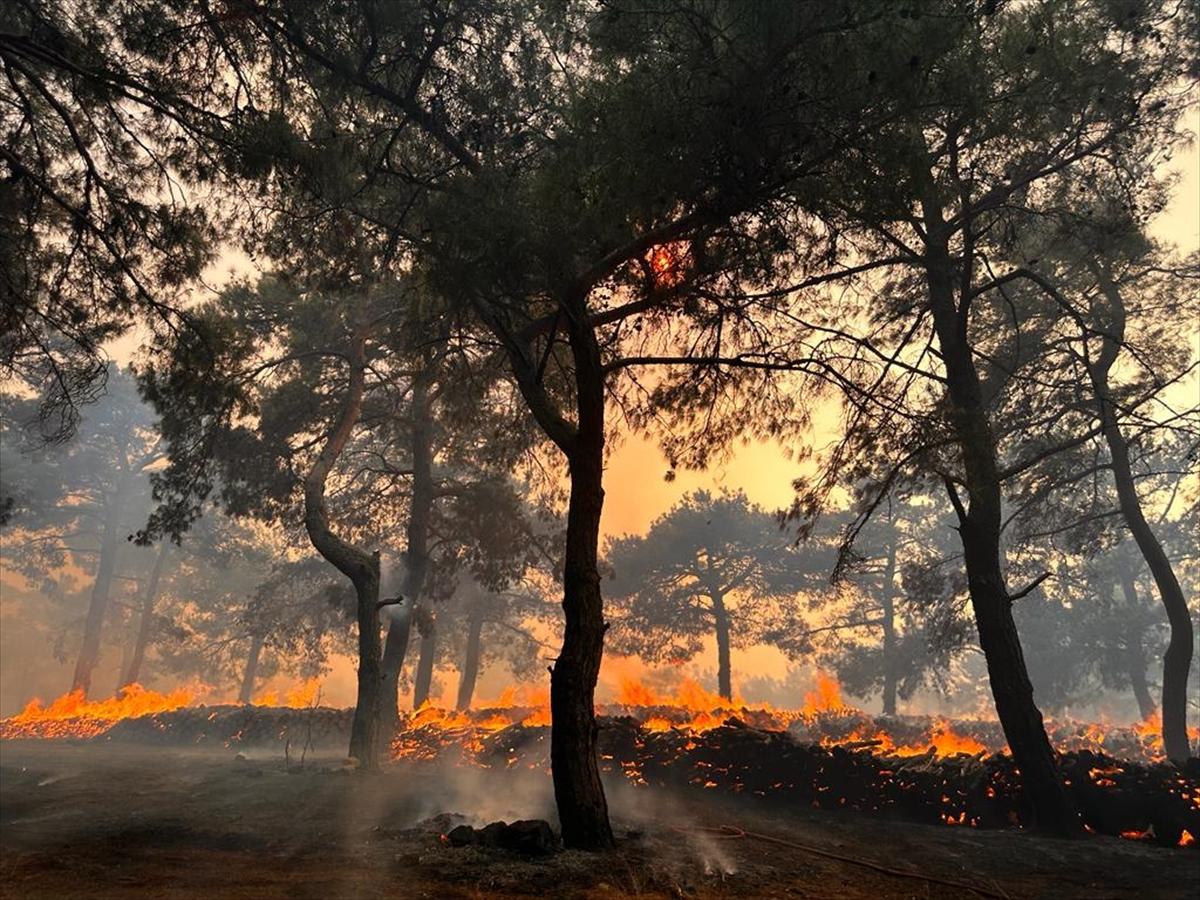 Kontrol altına alınan Çanakkale yangınından kareler