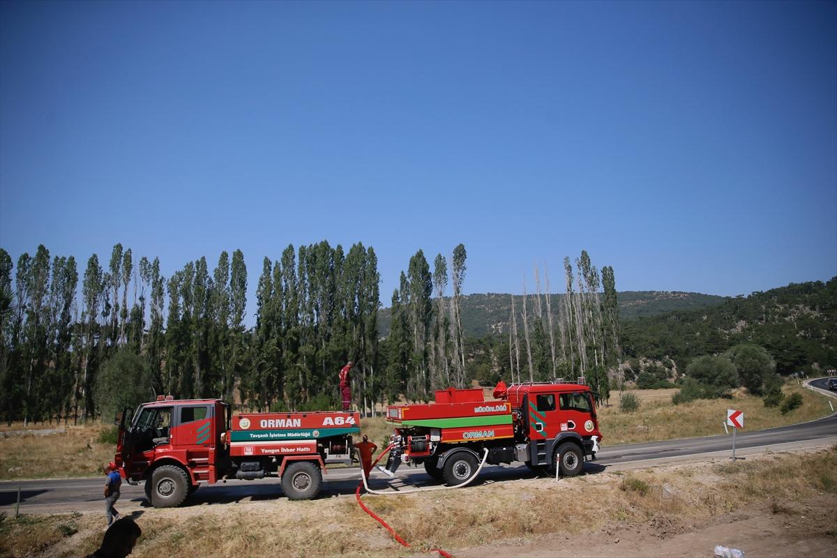 Eskişehir'de orman yangınından geriye kalanlar