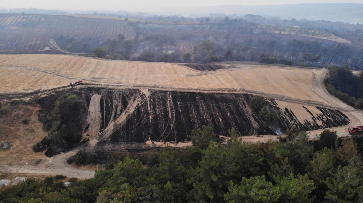 Çanakkale'de 4 bin 80 hektar alan yandı