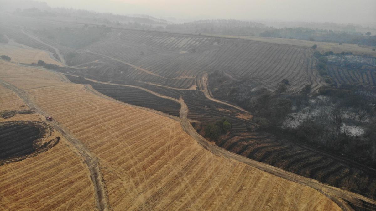 Çanakkale'de 4 bin 80 hektar alan yandı