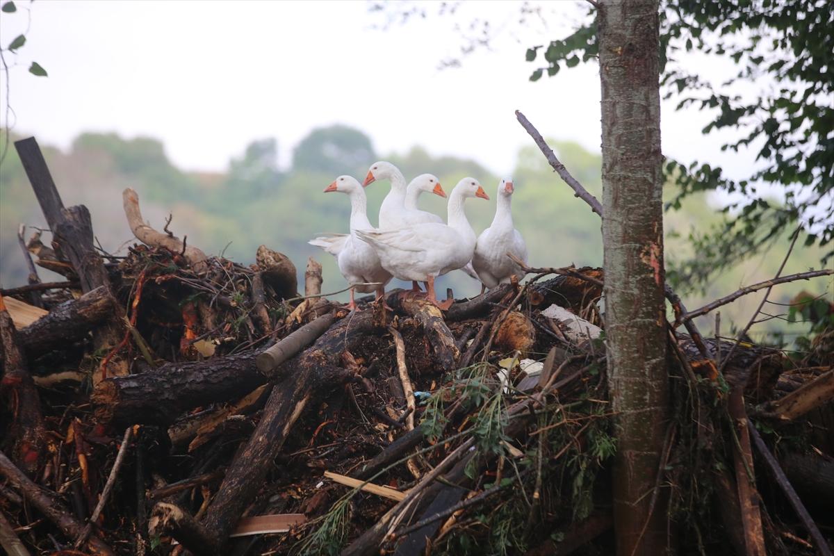 Kırklareli'de sağanak yağış sele sebep oldu