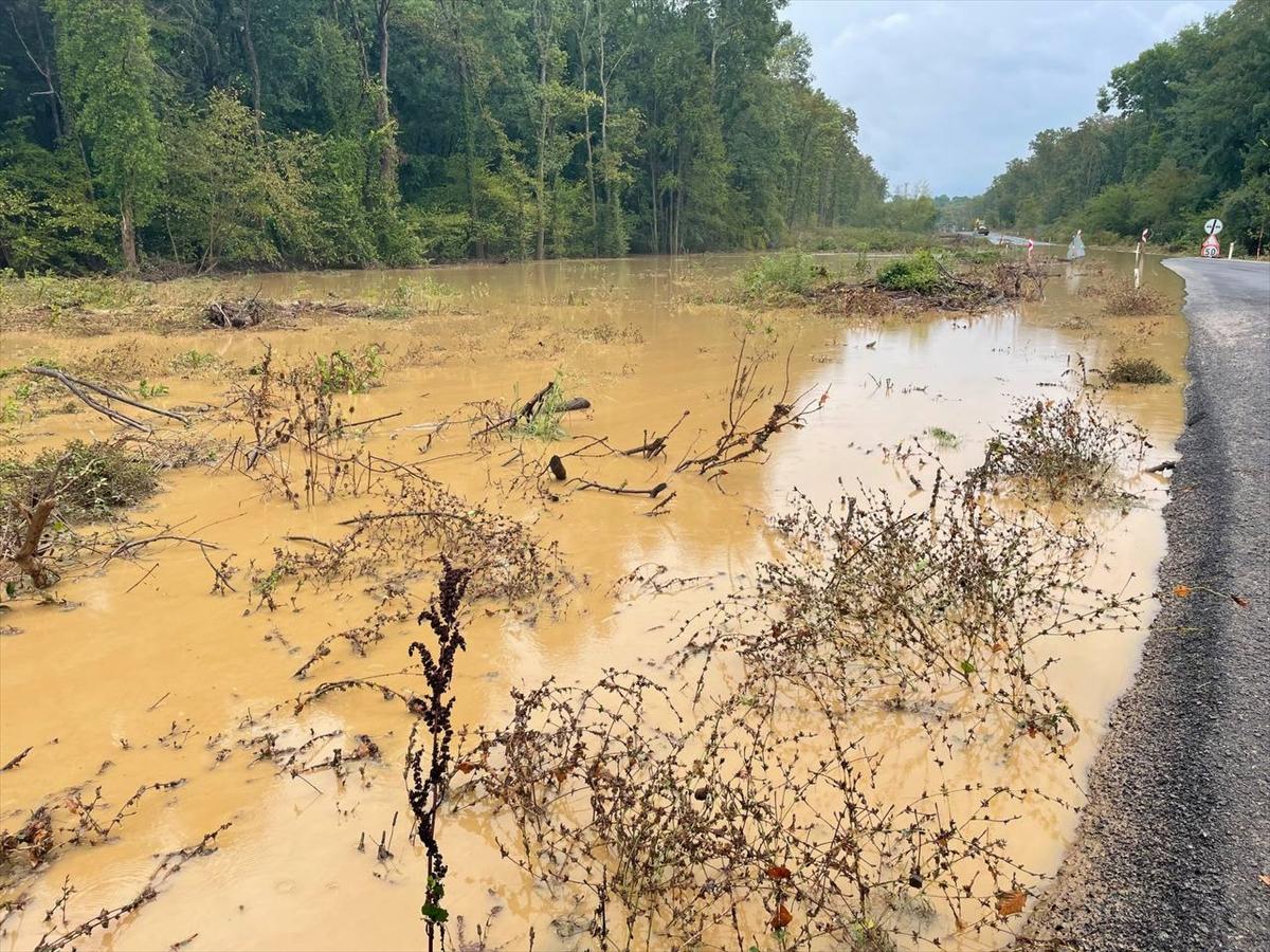 Kırklareli'de sağanak yağış sele sebep oldu