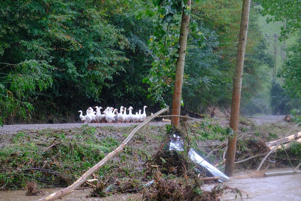 Kırklareli'de sağanak yağış sele sebep oldu