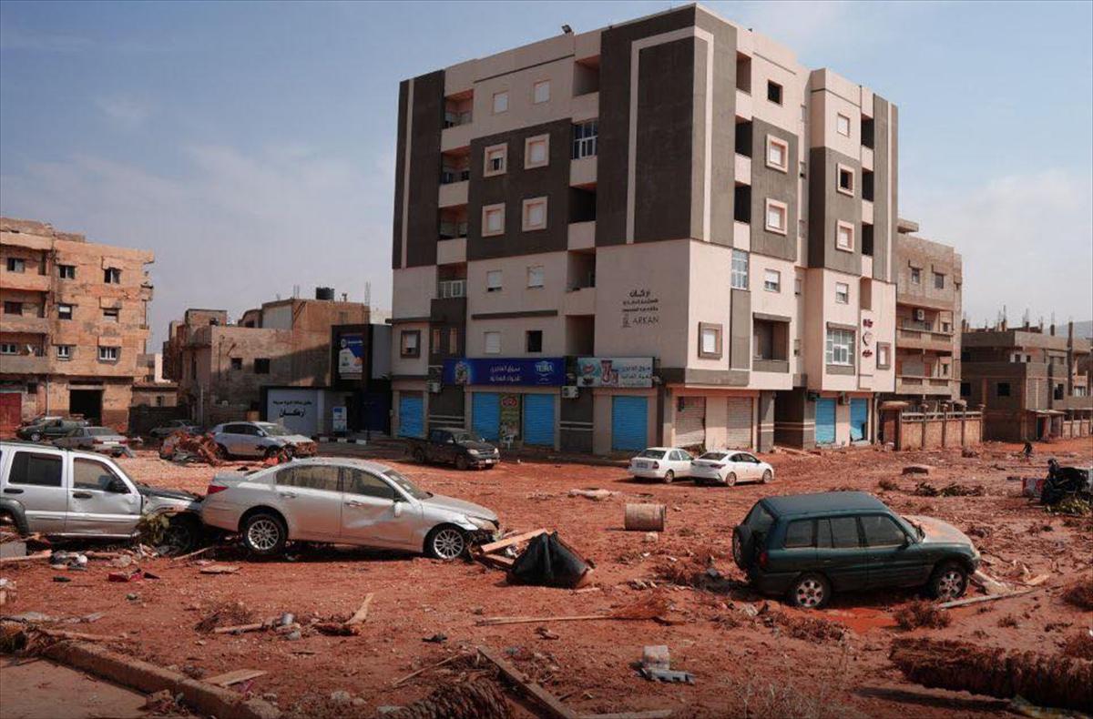 Libya'da selden geriye kalan kareler