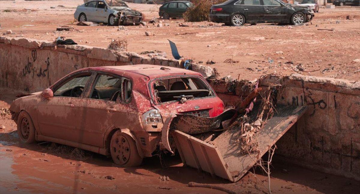 Libya'da selden geriye kalan kareler