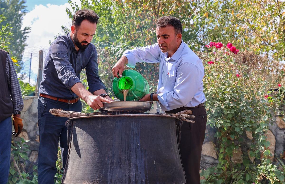 Diyarbakır'da bağ bozumu zamanı