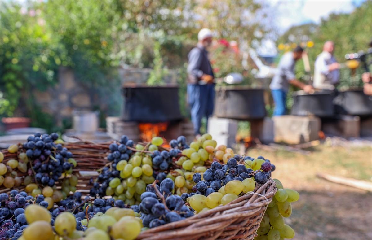 Diyarbakır'da bağ bozumu zamanı