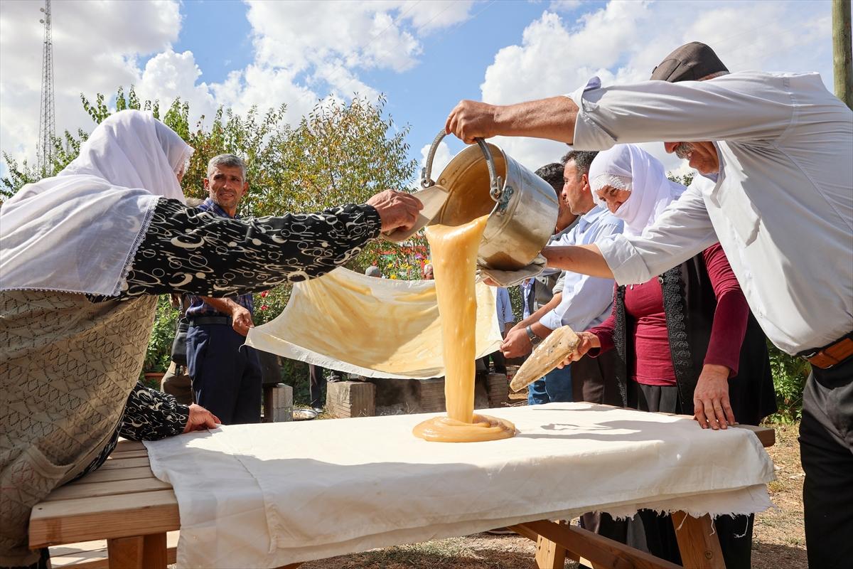 Diyarbakır'da bağ bozumu zamanı