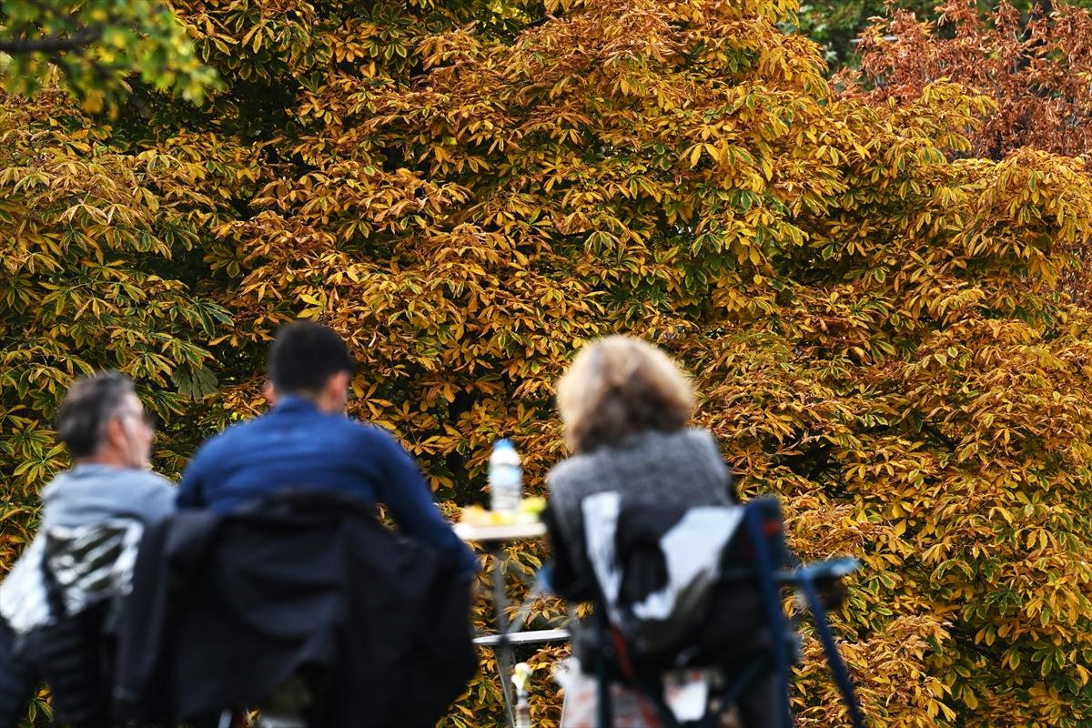 Başkent Ankara'da sonbahar: Sincaplar ceviz topladı