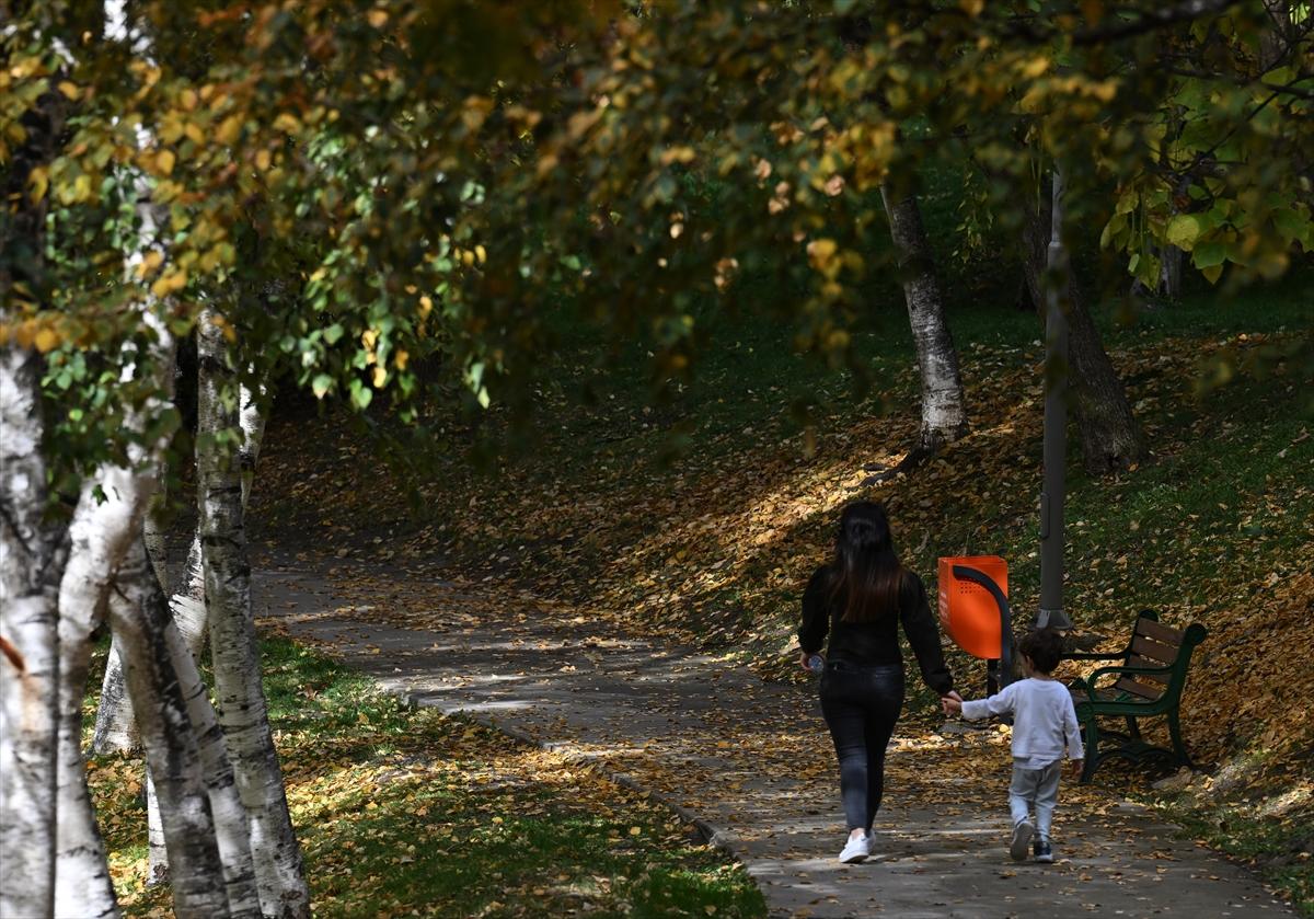Başkent Ankara'da sonbahar: Sincaplar ceviz topladı
