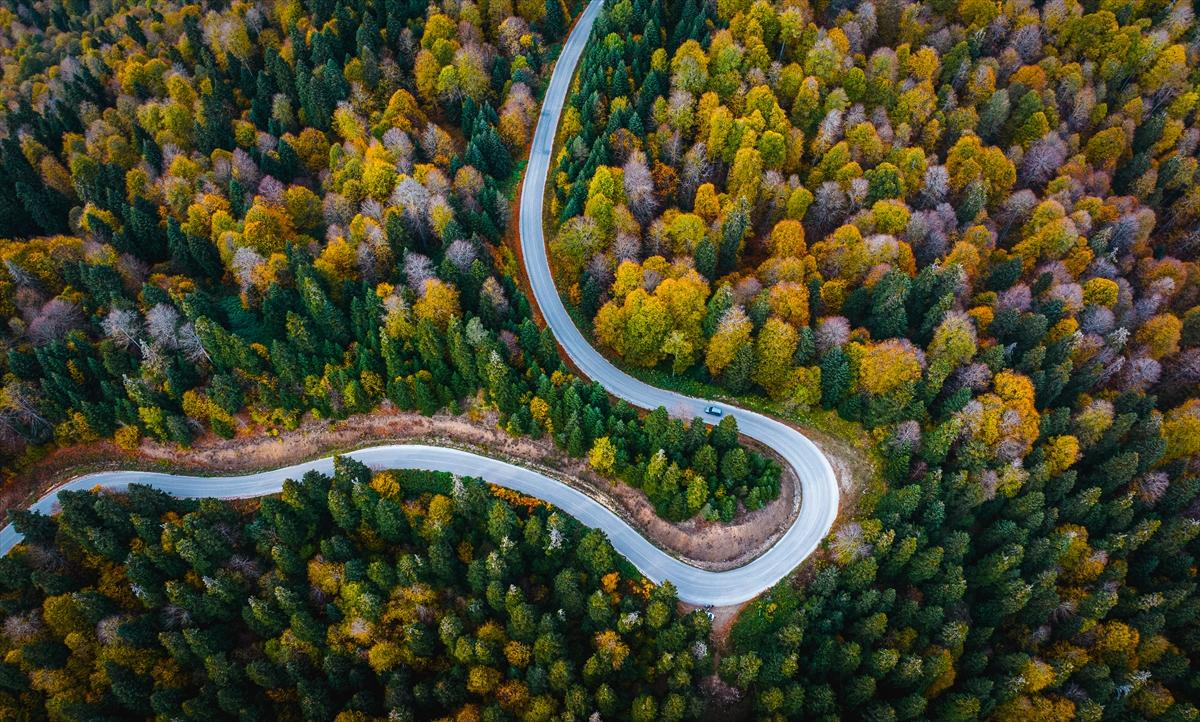 Saklı cennet Yedigöller'de sonbaharla birlikte renk cümbüşü yaşanıyor