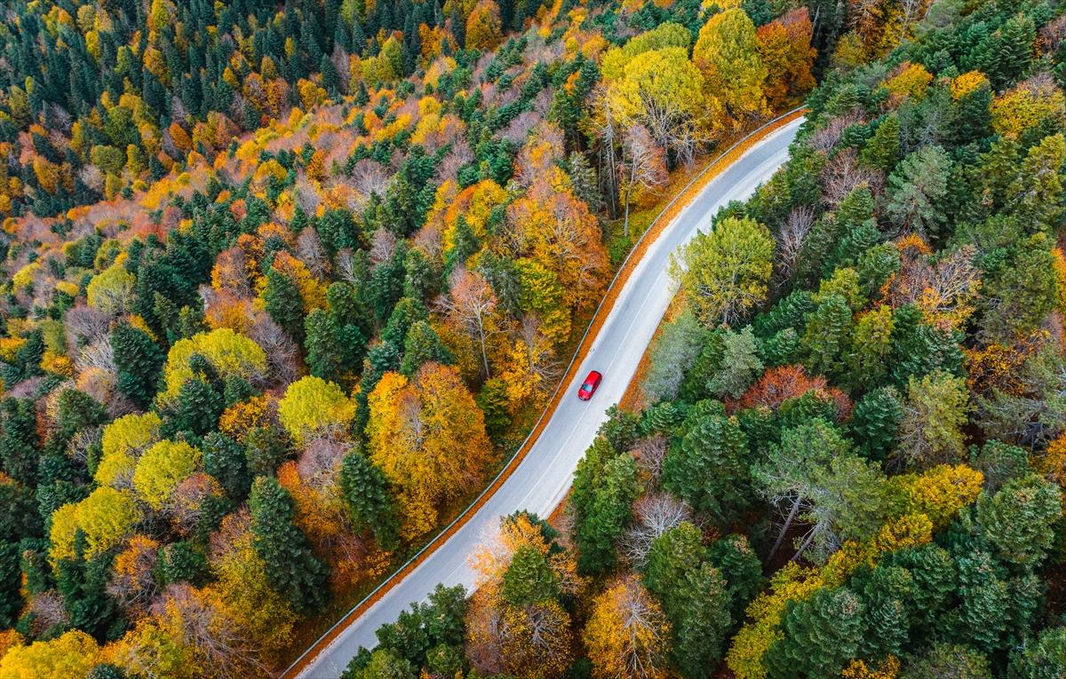 Saklı cennet Yedigöller'de sonbaharla birlikte renk cümbüşü yaşanıyor