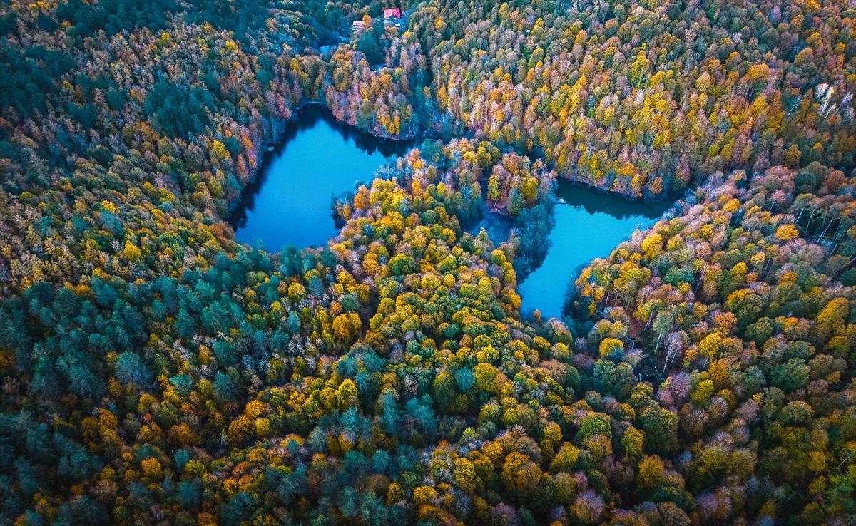 Saklı cennet Yedigöller'de sonbaharla birlikte renk cümbüşü yaşanıyor