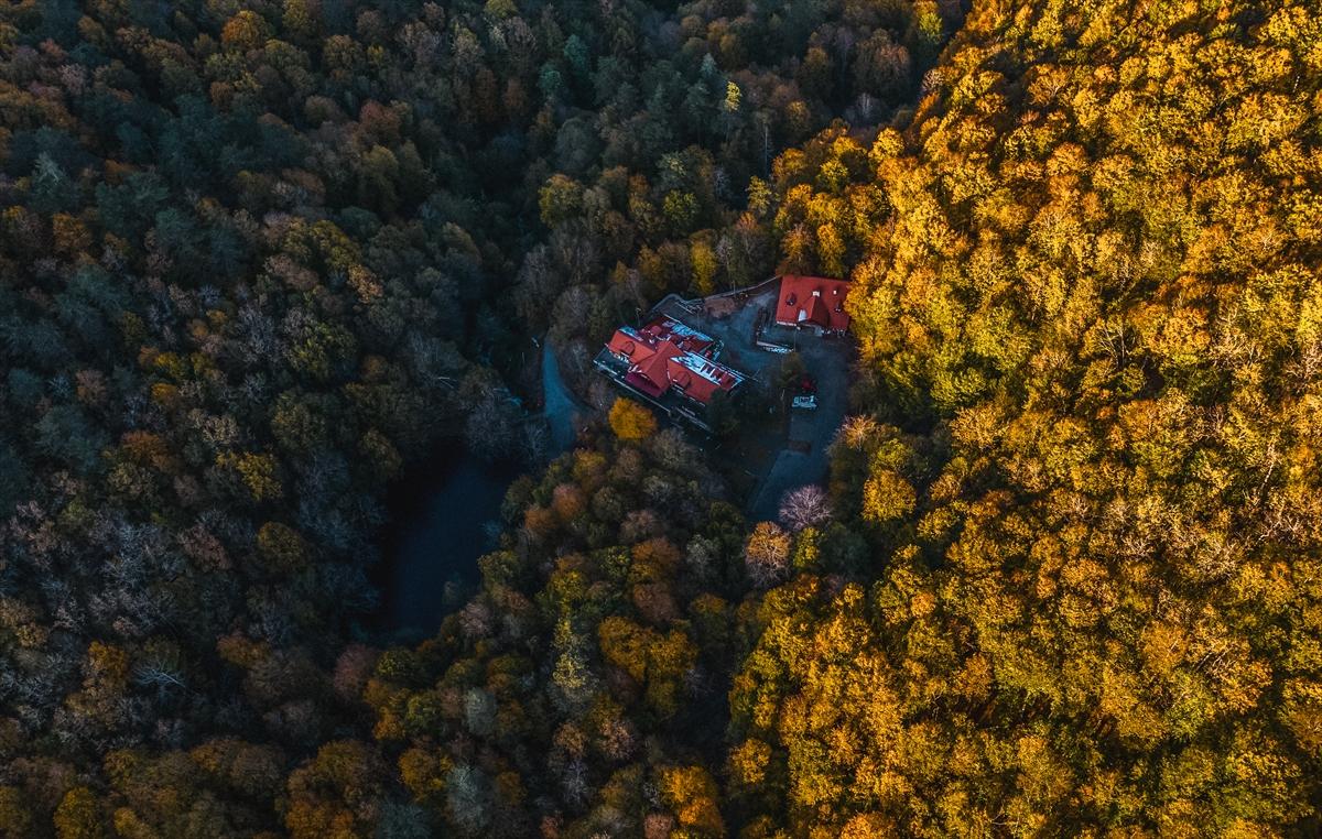 Saklı cennet Yedigöller'de sonbaharla birlikte renk cümbüşü yaşanıyor