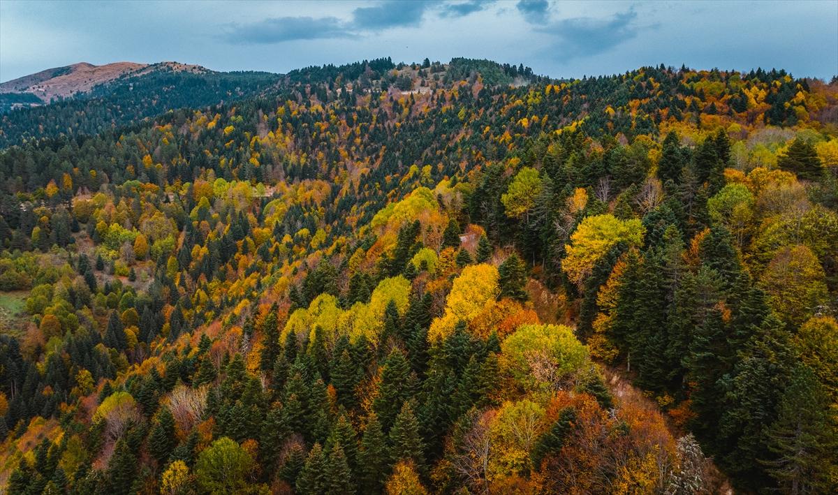 Saklı cennet Yedigöller'de sonbaharla birlikte renk cümbüşü yaşanıyor
