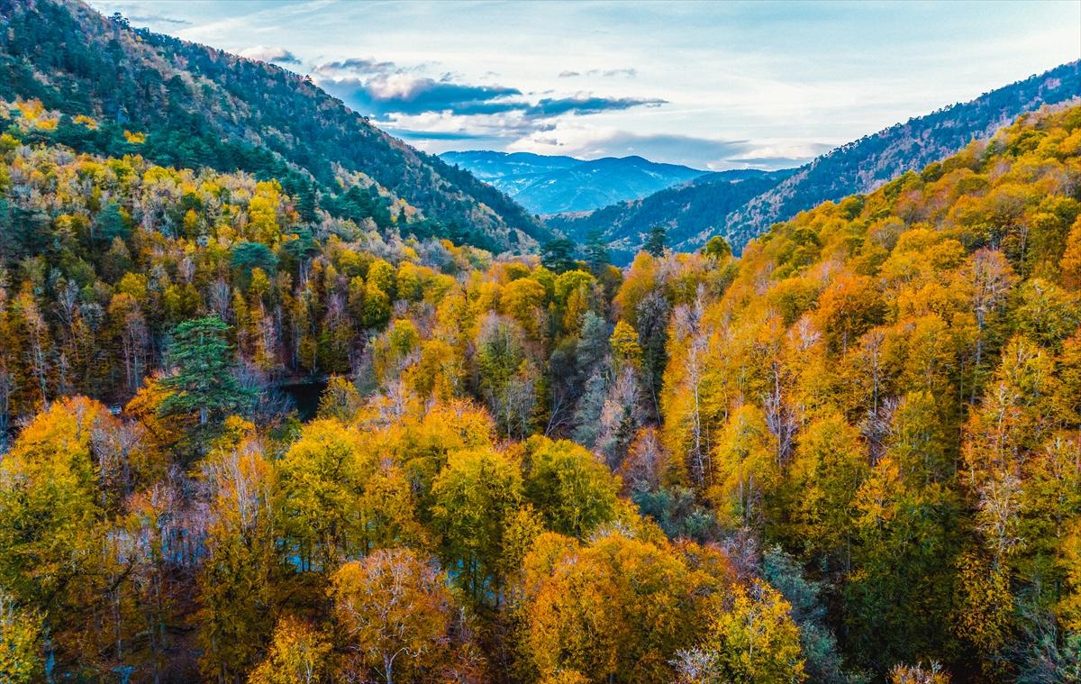 Saklı cennet Yedigöller'de sonbaharla birlikte renk cümbüşü yaşanıyor