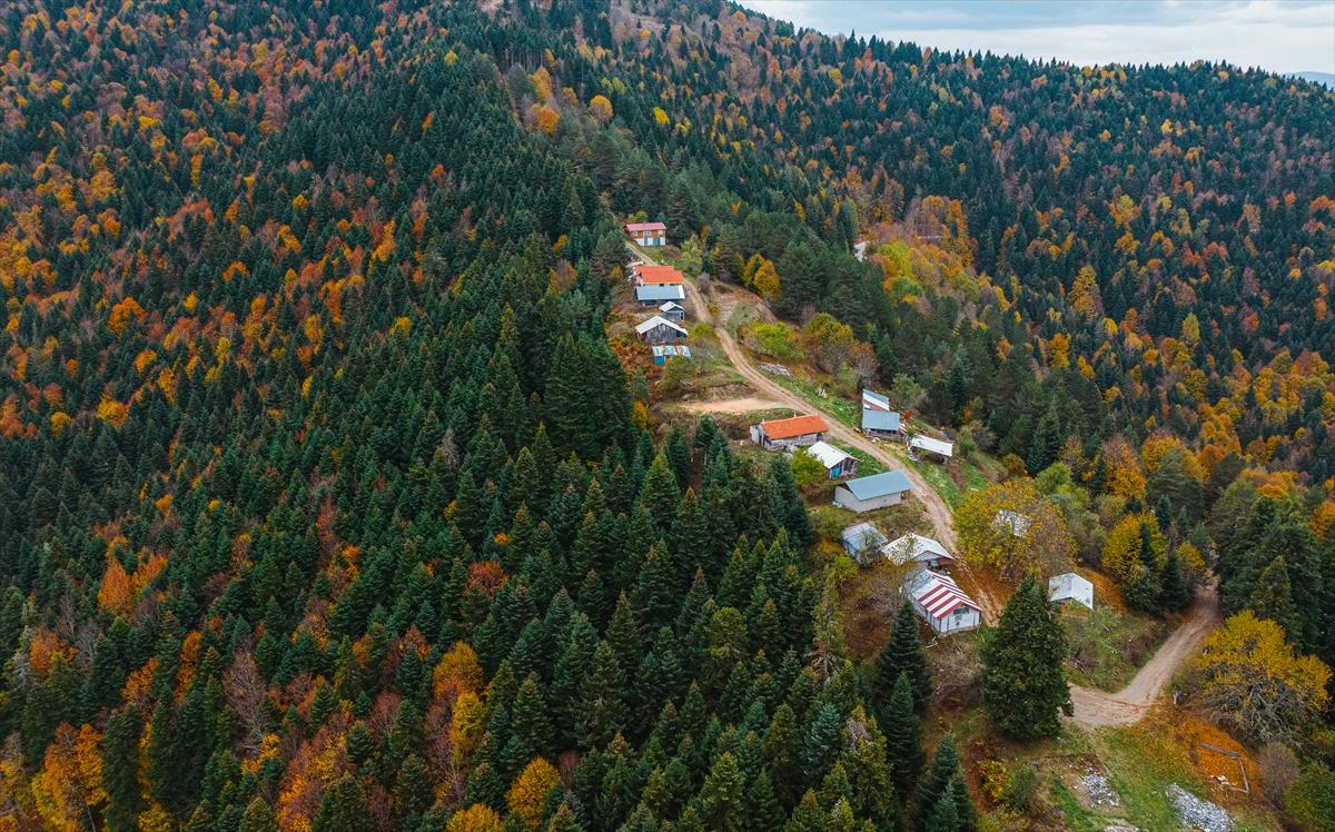 Saklı cennet Yedigöller'de sonbaharla birlikte renk cümbüşü yaşanıyor
