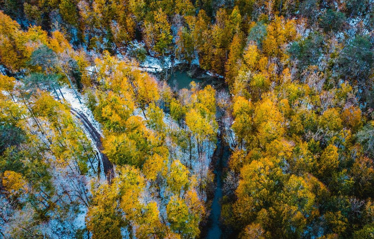 Saklı cennet Yedigöller'de sonbaharla birlikte renk cümbüşü yaşanıyor