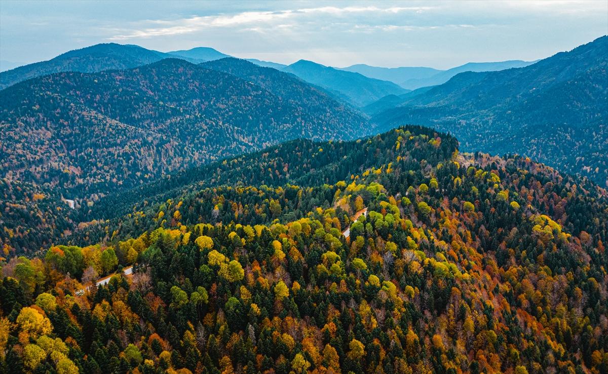 Saklı cennet Yedigöller'de sonbaharla birlikte renk cümbüşü yaşanıyor