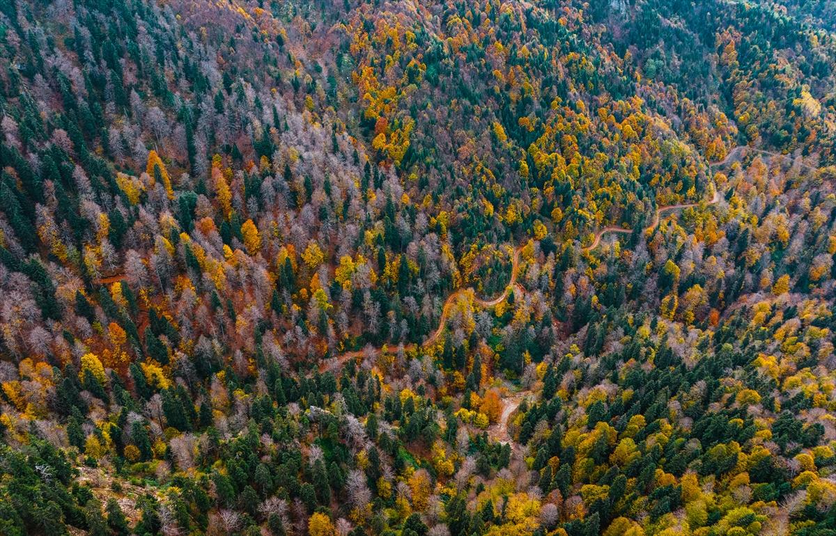 Saklı cennet Yedigöller'de sonbaharla birlikte renk cümbüşü yaşanıyor