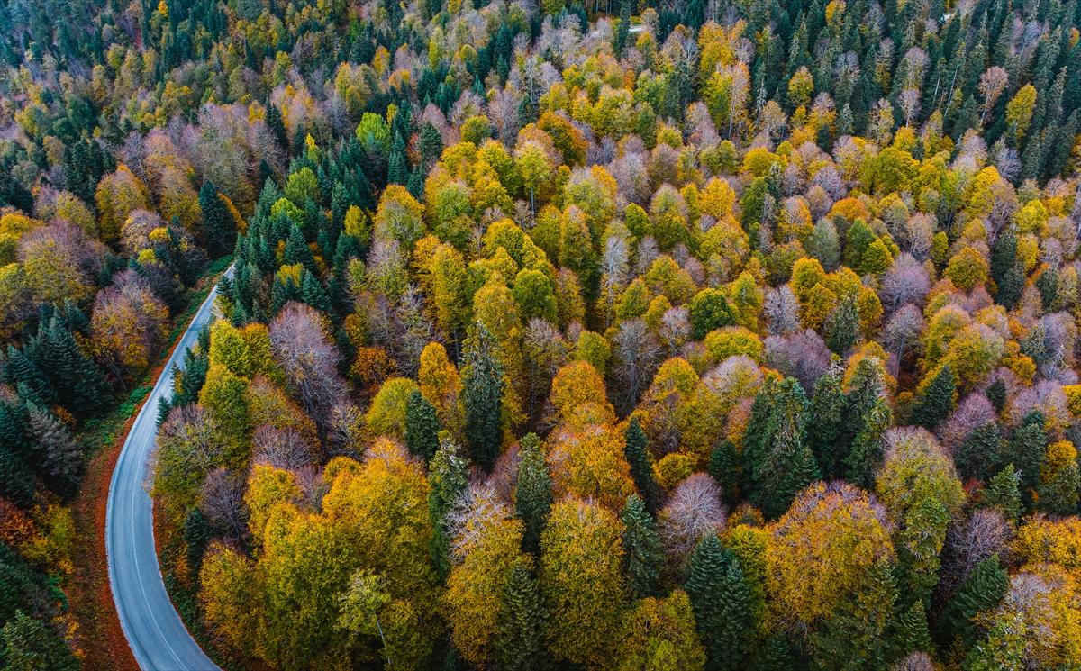 Saklı cennet Yedigöller'de sonbaharla birlikte renk cümbüşü yaşanıyor