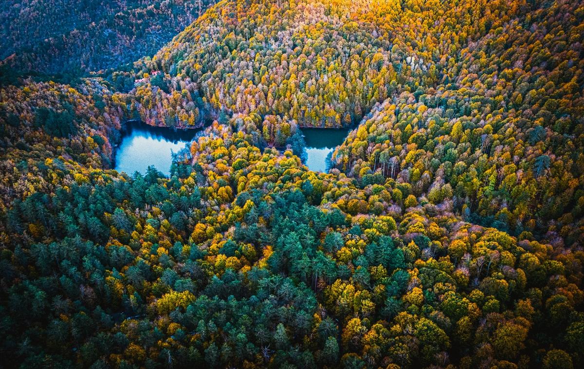 Saklı cennet Yedigöller'de sonbaharla birlikte renk cümbüşü yaşanıyor