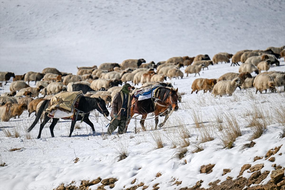 Van'da karlı kaplı dağlarda besicilerin dönüş mesaisinden renkli kareler