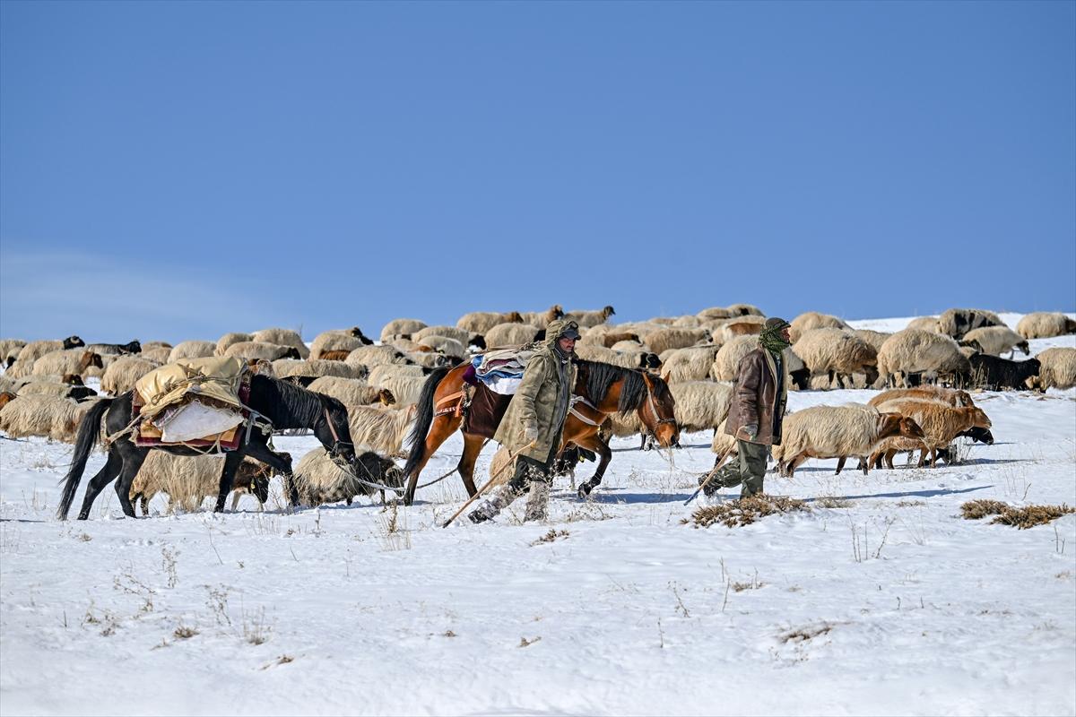 Van'da karlı kaplı dağlarda besicilerin dönüş mesaisinden renkli kareler