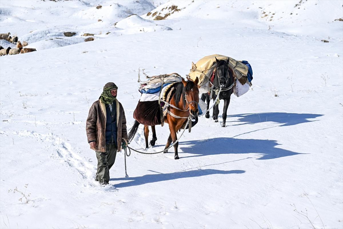 Van'da karlı kaplı dağlarda besicilerin dönüş mesaisinden renkli kareler