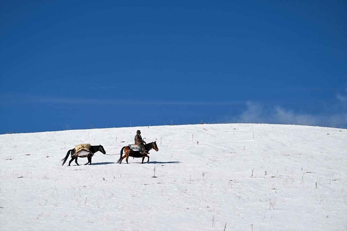 Van'da karlı kaplı dağlarda besicilerin dönüş mesaisinden renkli kareler