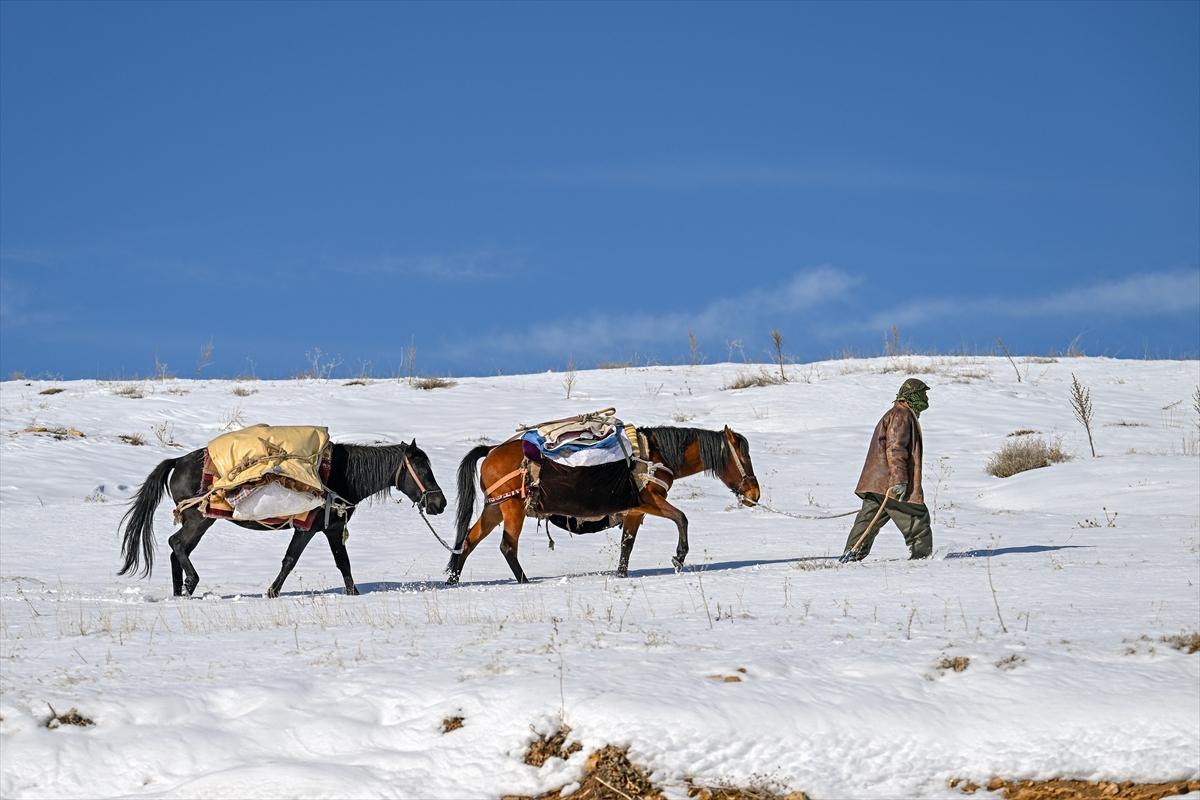 Van'da karlı kaplı dağlarda besicilerin dönüş mesaisinden renkli kareler