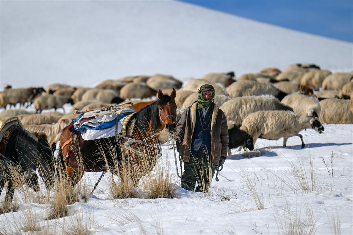 Van'da karlı kaplı dağlarda besicilerin dönüş mesaisinden renkli kareler