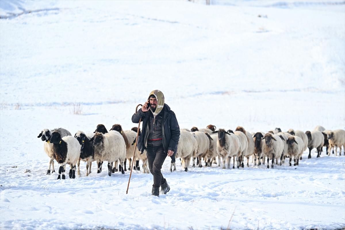 Van'da karlı kaplı dağlarda besicilerin dönüş mesaisinden renkli kareler