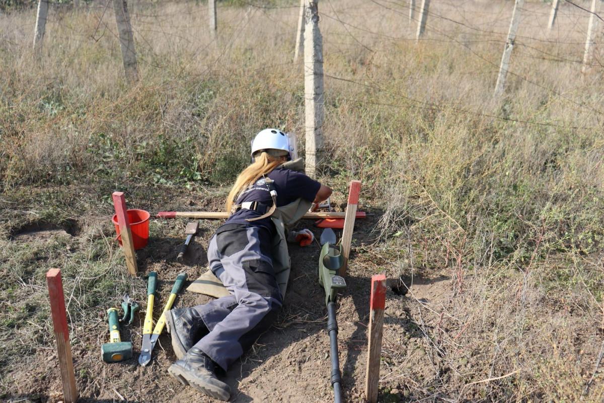 Karabağ'da mayın temizleyen Azerbaycanlı kadınlar