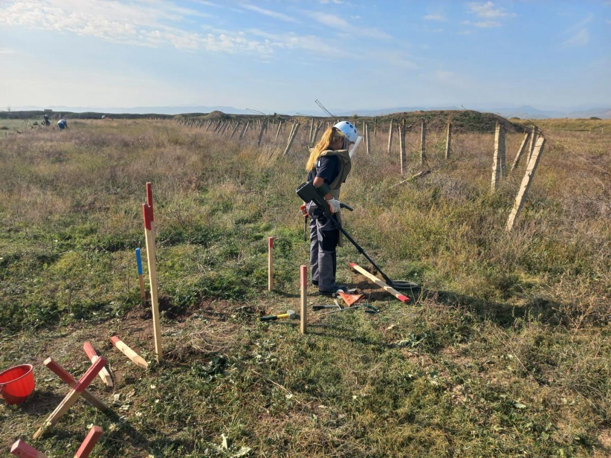 Karabağ'da mayın temizleyen Azerbaycanlı kadınlar