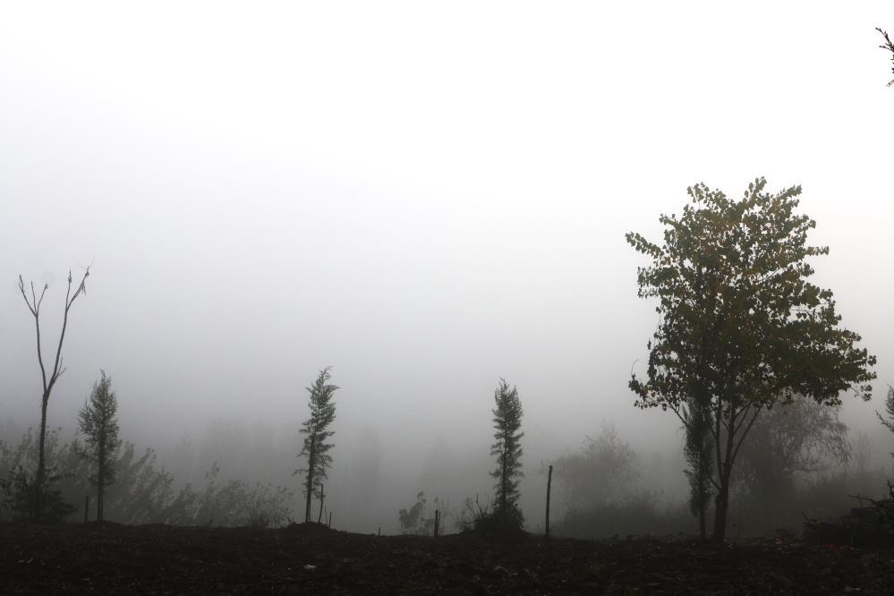 Diyarbakır'da sis... Kartpostallık görüntüler ortaya çıktı