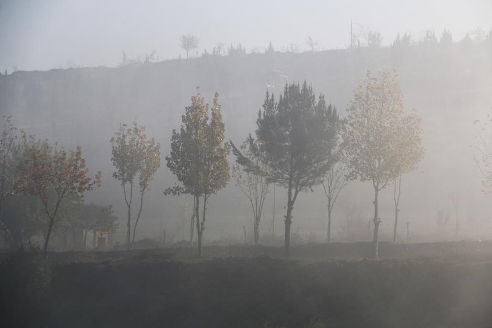 Diyarbakır'da sis... Kartpostallık görüntüler ortaya çıktı