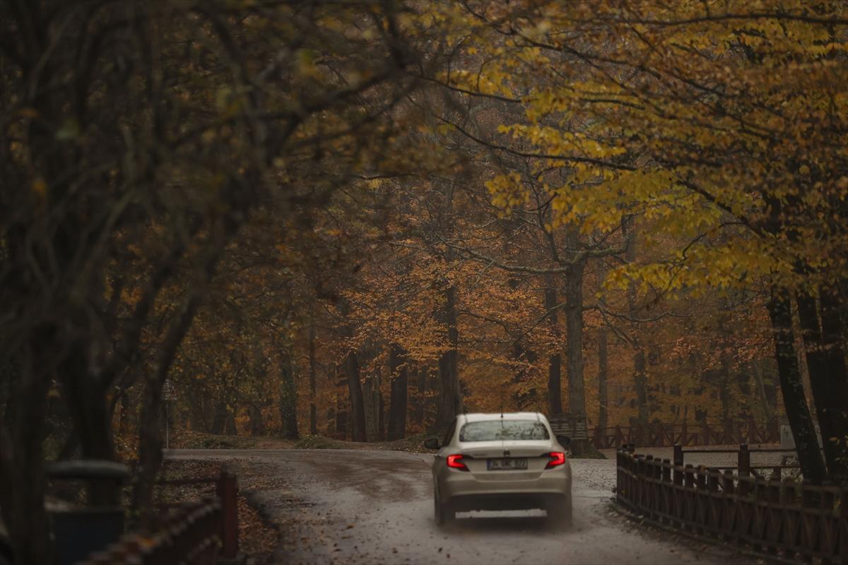 İstanbul sonbahar renklerine büründü